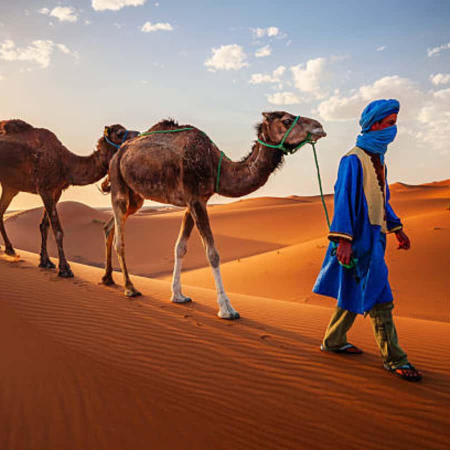 From Fes: 3 Day Magical Desert Camel Trek To Marrakech - Who will enjoy this three-day route