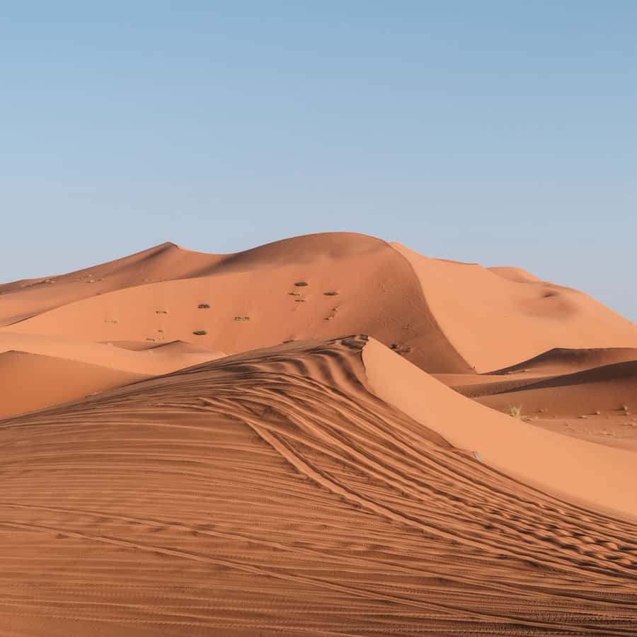 From Fes: 3 Day Magical Desert Camel Trek To Marrakech - FAQ