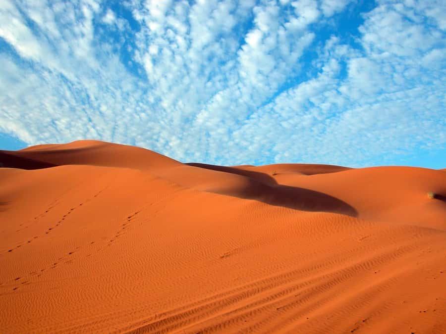 From Fes: 3-Days 2-Nights Desert Tour to Marrakech - Day three: Ait Ben Haddou and the High Atlas