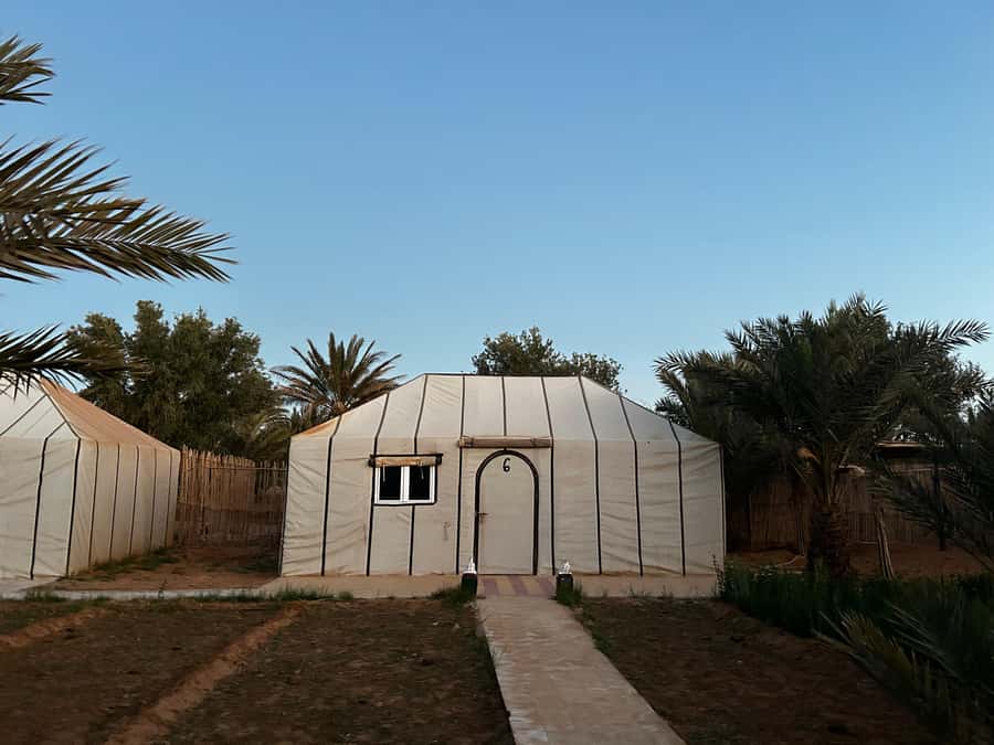 From Fes: 3 Days and 2 Nights Desert Trip to Marrakech - From Fes to the cedar forests near Azrou