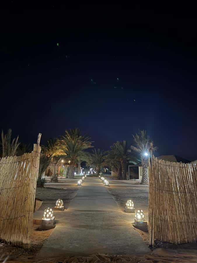 From Fes: 4-Day Trip to Marrakech via Merzouga & Gorges - Todra Gorges and the Road of a Thousand Kasbahs