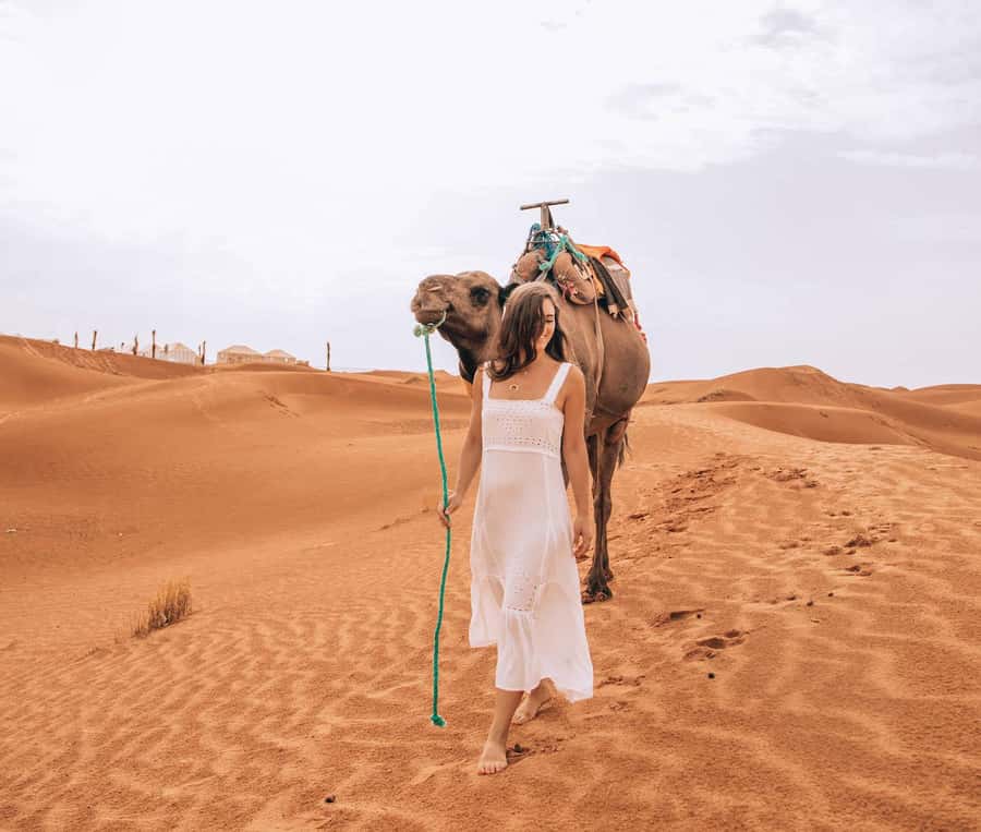 From Fes To Marrakech: 2-Days with Luxury Camp, Desert Tour - Guides, vans, and the value of the $133 price