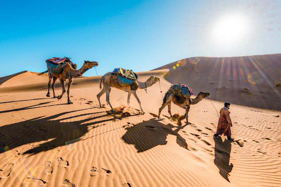From Fes to Marrakech: 3-Day Sahara Desert Discovery Tour - Why this Fes to Marrakech route works