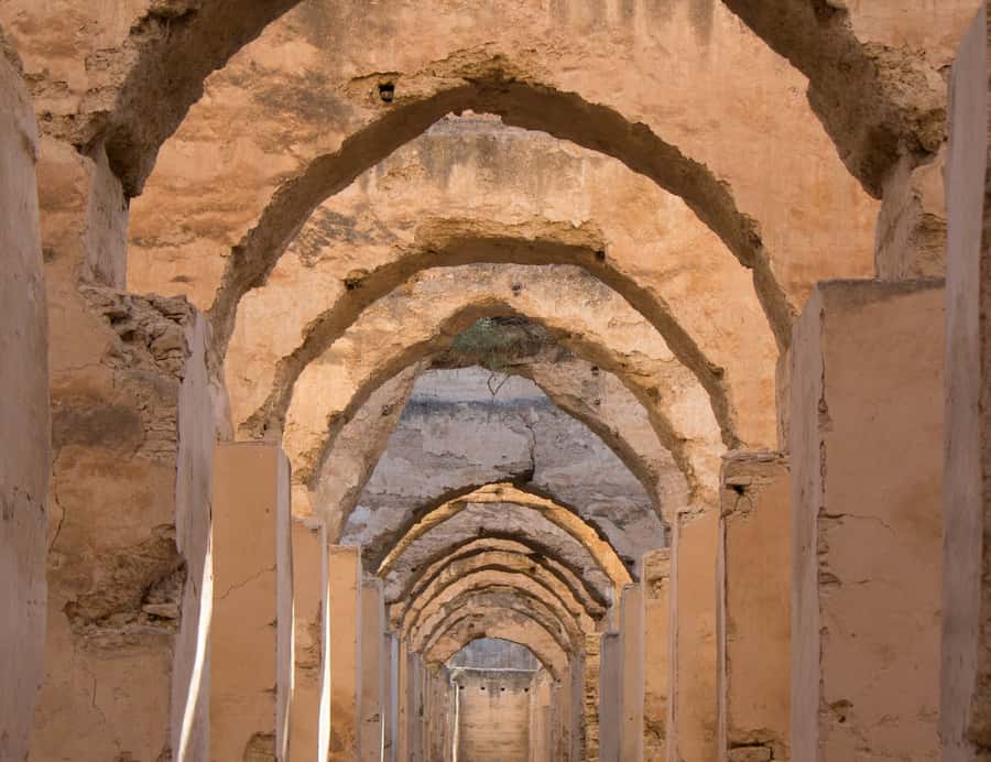 From Fes: Volubilis, Moulay Idriss and Meknes Full-Day Trip - What the transport arrangement means for your day