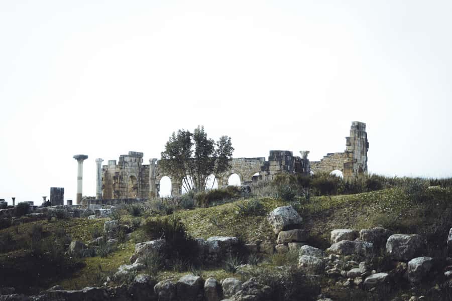From Fes: Volubilis, Moulay Idriss and Meknes Full-Day Trip - Meknes combines imperial doors and an unfinished visit