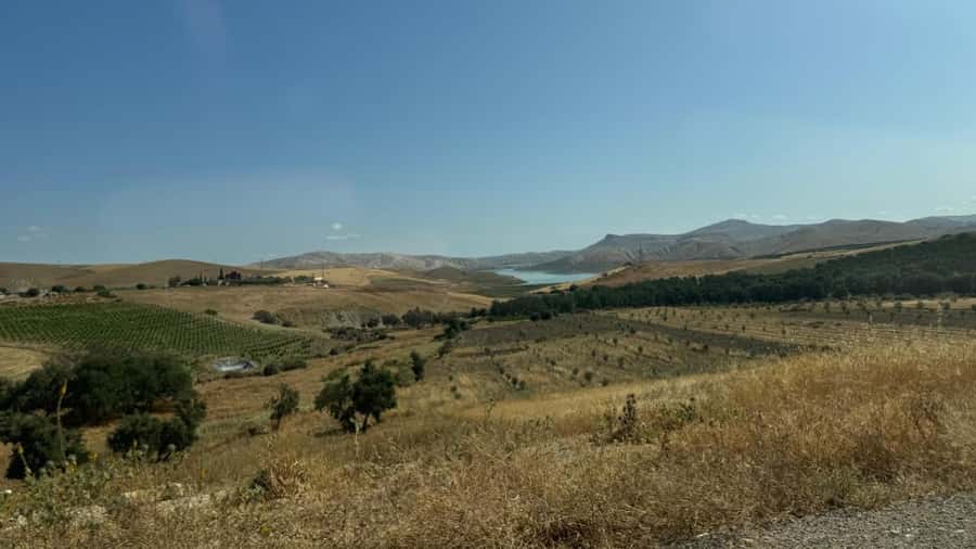 From Fez: Meknes, Volubilis and Moulay Idriss Day Trip - Lunch, medina time, and what is not included