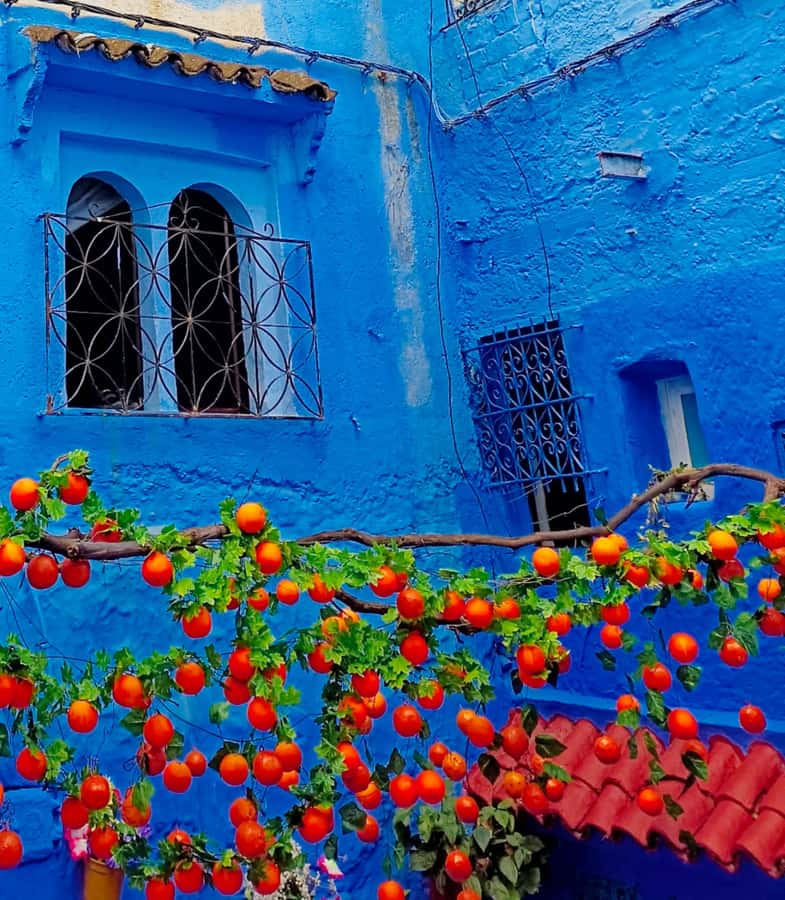 From Fez : Memorable Day Trip to Chefchaouen the Blue City - Motel Rif is a practical second stop