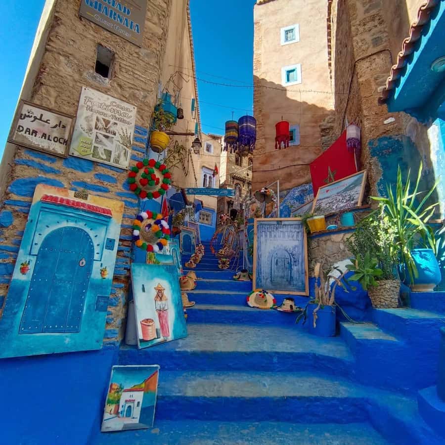 From Fez : Memorable Day Trip to Chefchaouen the Blue City - Four hours in the medina, with no fixed route
