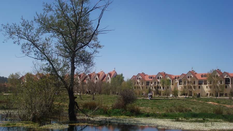From Fez: Middle Atlas and Monkey Forest Day Trip - Ain Vital and the road to Ifrane
