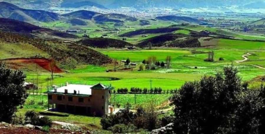 From Fez: Middle Atlas Ifran and Forest of Monkeys Day Trip - From Fez to the Middle Atlas highlands