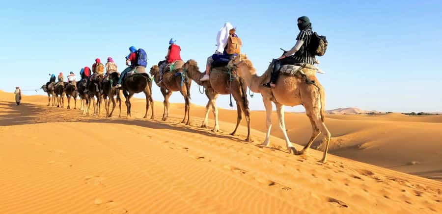 From Fez: Round-Trip Overnight Merzouga Desert Tour - Key points at a glance