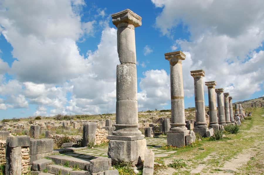 From Fez: Volubilis, Moulay Idriss and Meknes Full Day Tour - What the driver does, and what a guide adds