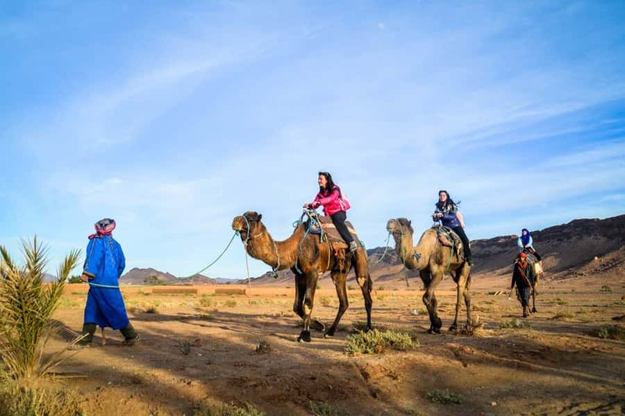 From Marrakech: 2-Day Desert Excursion - Key points before you book