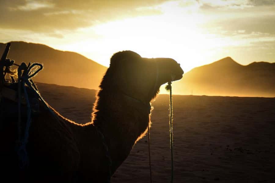 From Marrakech: 2-Day Desert Excursion - Ait Ben Haddou, a movie set with a real past