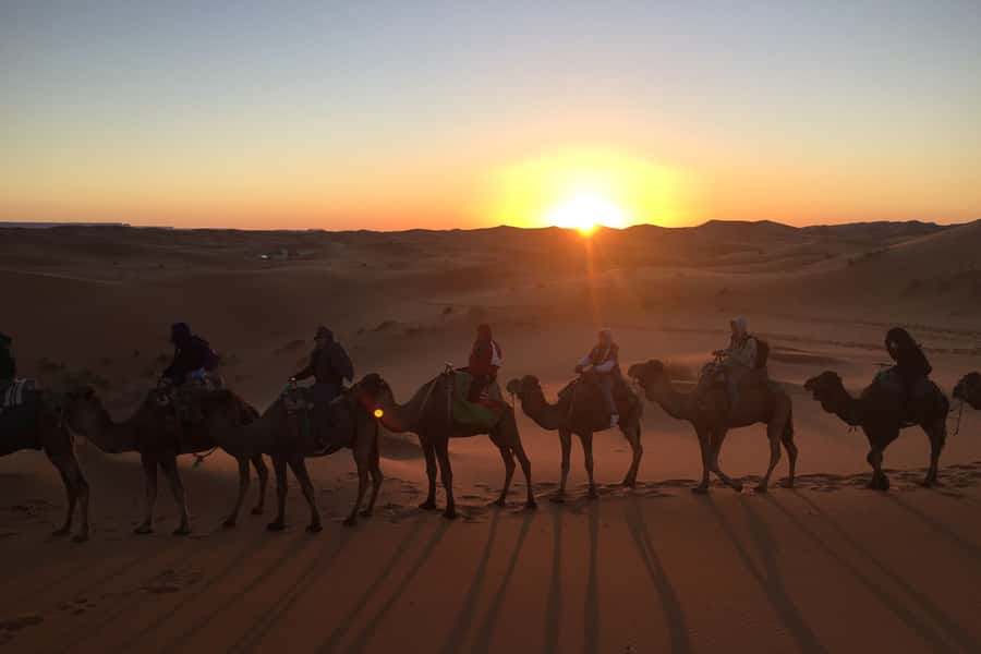 From Marrakech: 2-Day Sahara Tour to Zagora & Ait Ben Haddou - What to pack for comfort