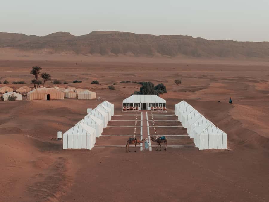 From Marrakech: 2-Day Zagora Desert Camp Trip - The long road from Marrakech to Zagora