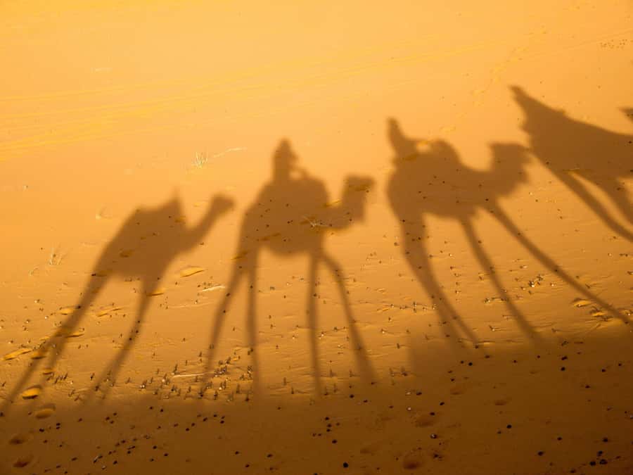 From Marrakech: 2-Day Zagora Desert Camp Trip - Sunrise, breakfast, and the return ride