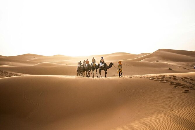 From Marrakech: 3-Day Desert Tour to Agadir - Day two, Todra Gorge and the road to Merzouga