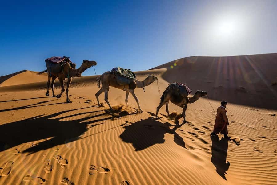 From Marrakech: 3-Day Luxury Desert Tour to Fes via Merzouga - The desert camp after dark