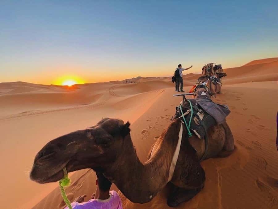 From Marrakech: 3-Day Luxury Desert Tour to Fes via Merzouga - The long run from Merzouga to Fes