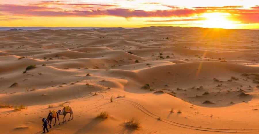 From Marrakech: 3 Days Desert Tour To Merzouga Luxury Camp - Who will enjoy this three-day route