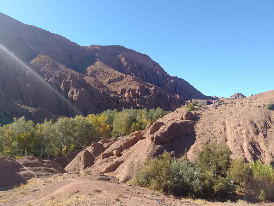 From Marrakech: 4-Day Morocco Sahara Desert Experience - FAQ