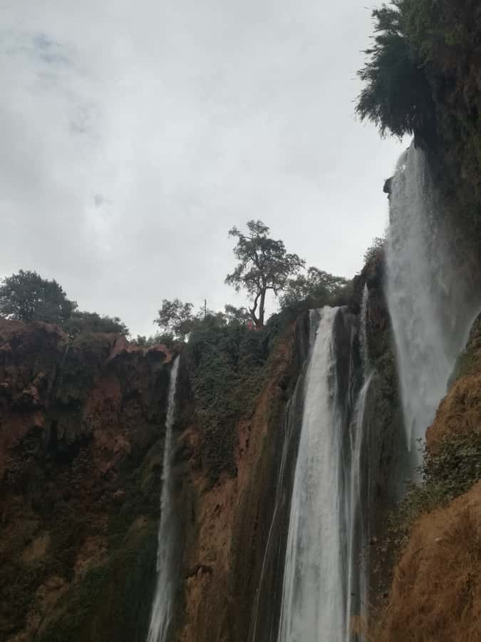 From Marrakech: A day Trip to Ouzoud waterfalls - Who will enjoy this day trip most