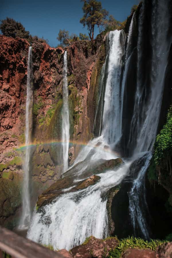 From Marrakech: A day Trip to Ouzoud waterfalls - Walking down, then climbing back up
