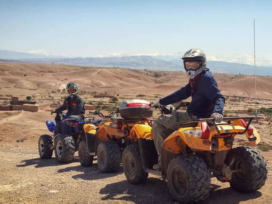 From Marrakech: Adventure Quad Ride in La Palmeraie - Should you book it?