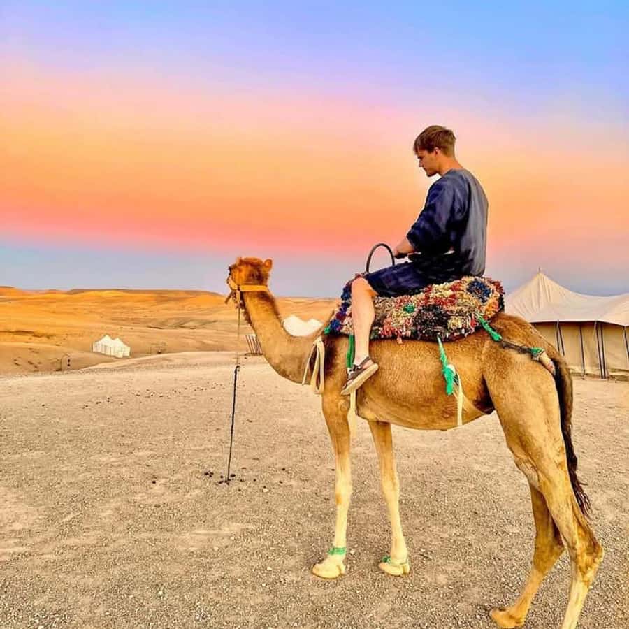 From Marrakech: Agafay Desert Dinner with Quad & Camel Ride - Agafay Desert gives you desert atmosphere without a Sahara transfer