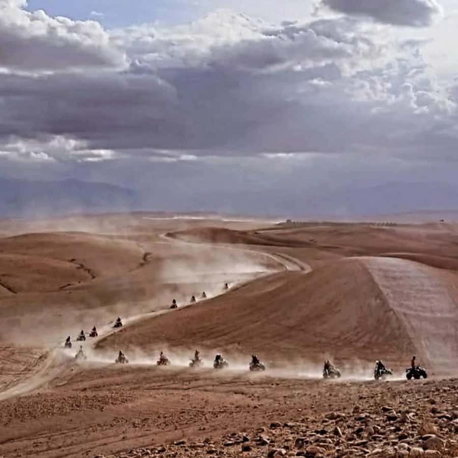 From Marrakech: Agafay Desert Dinner with Quad & Camel Ride - Is $23 good value for this much time?