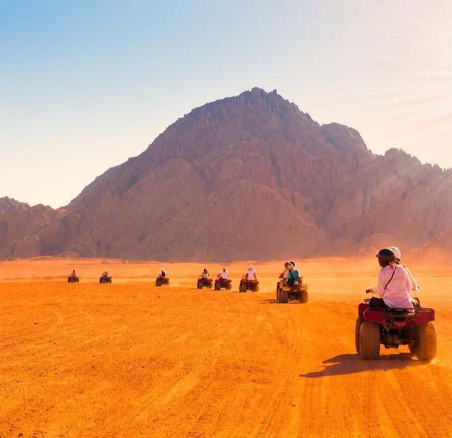 From Marrakech: Agafay Desert Quad Biking with Dinner & Show - Guides, languages, and the human side of the day