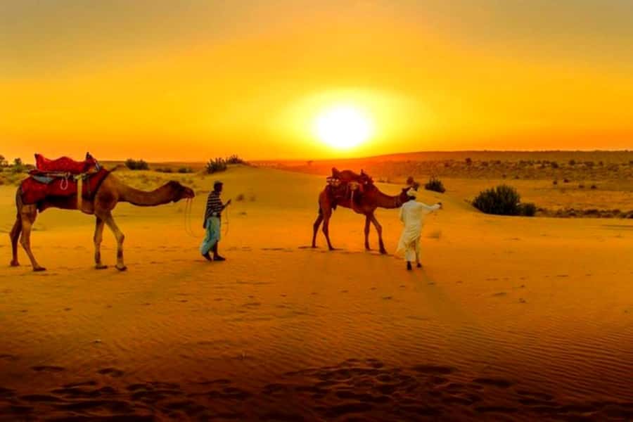 From Marrakech : Agafay Desert Sunset Dinner with Camel Ride - Should you book this Agafay evening?