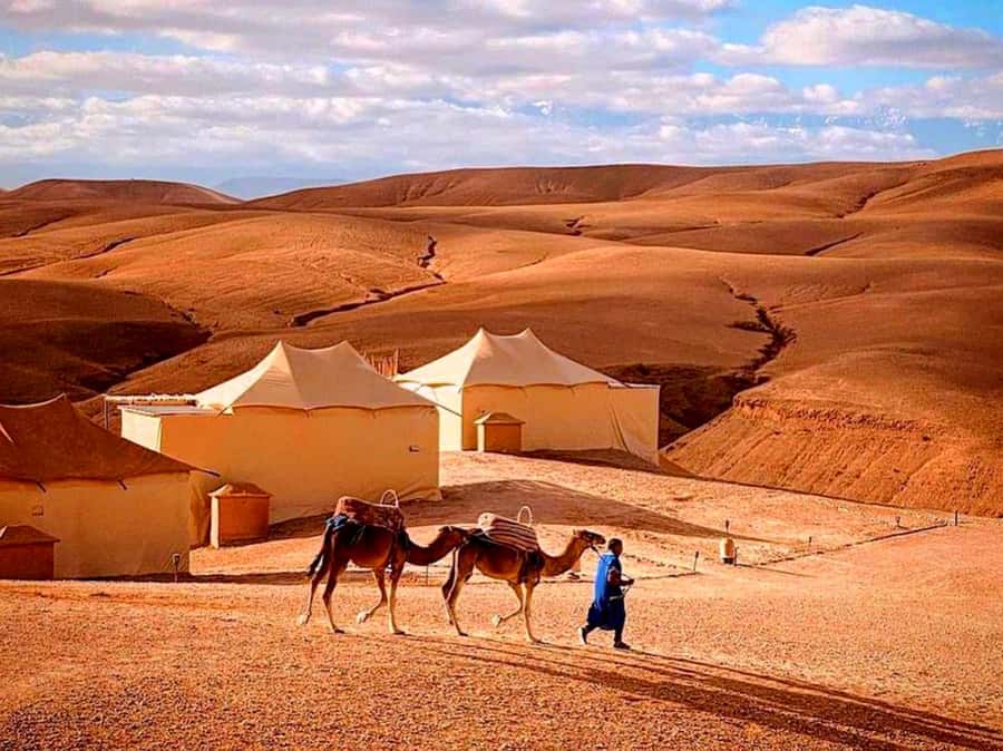 From Marrakech : Agafay Desert Sunset Dinner with Camel Ride - Dinner beneath the desert stars