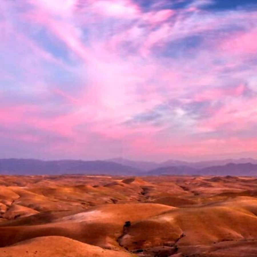 From Marrakech: Agafay Desert Sunset Dinner with Live Show - Practical tips for a smoother evening