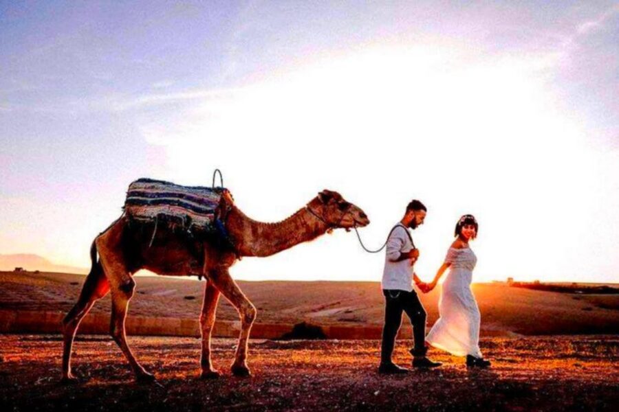 From Marrakech: Agafay Desert Sunset Dinner with Live Show - Who will enjoy this evening most?