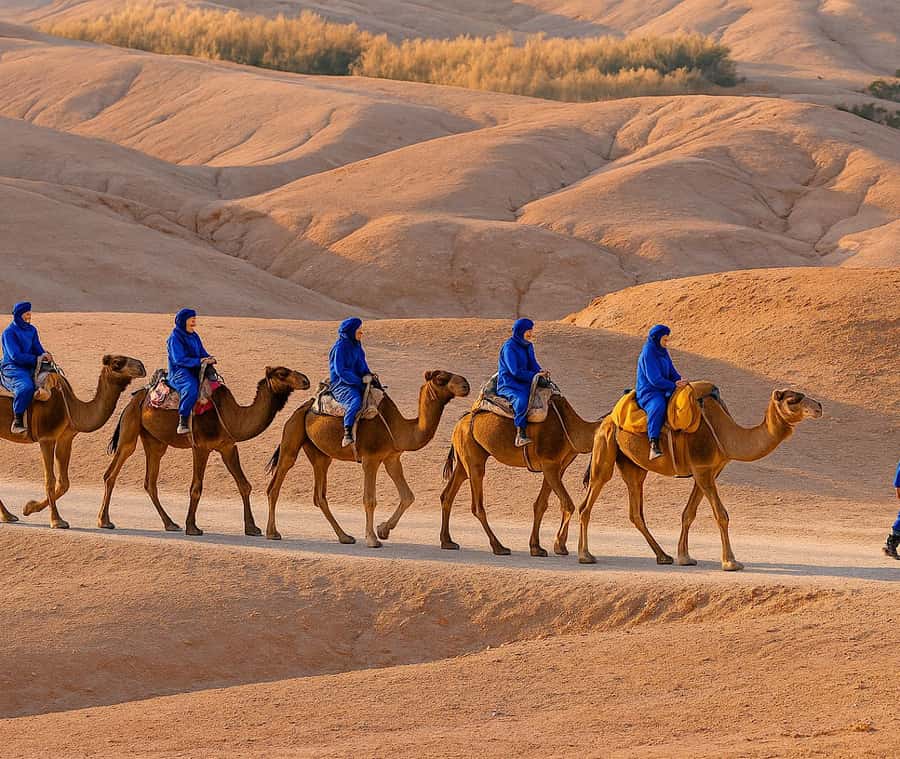 From Marrakech: Agafay Sunset Camel Tour with Dinner & Show - Key points to know before booking