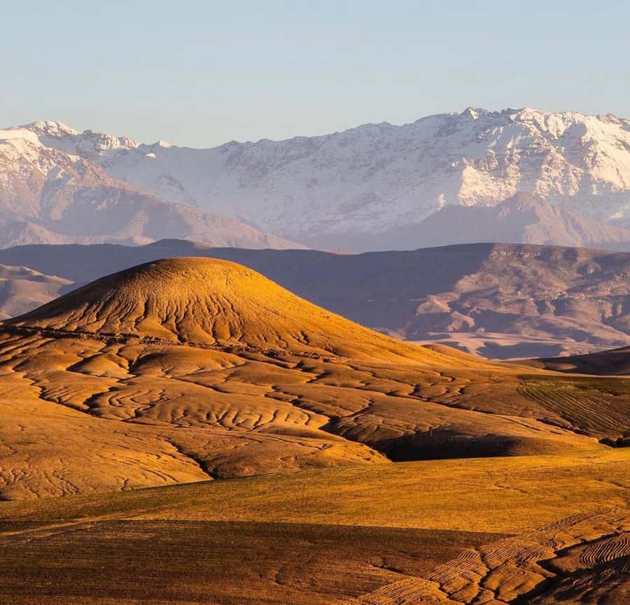 From Marrakech: Agafay Sunset Camel Tour with Dinner & Show - What to bring and who should book