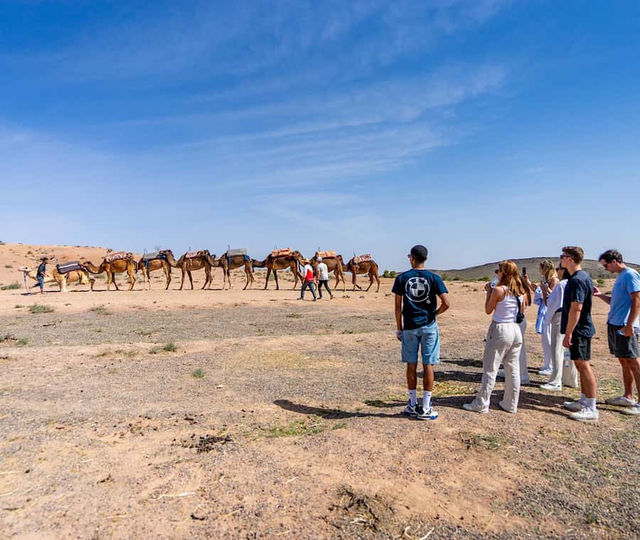 From Marrakech: Agafay Sunset Camel Tour with Dinner & Show - Tea, campfire, and a Moroccan buffet