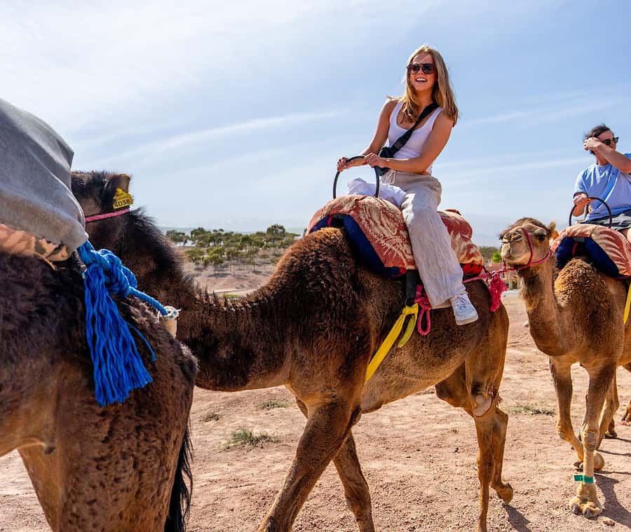 From Marrakech: Agafay Sunset Camel Tour with Dinner & Show - Is $27 a good price?