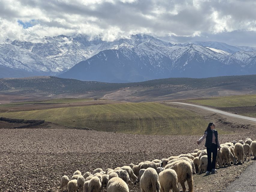 From Marrakech: Atlas Mountains 4-Day Hike with Hotels - Why four days works better than a quick Atlas excursion