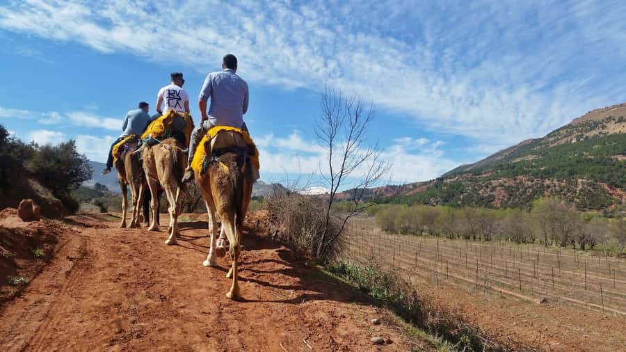 From Marrakech: Atlas Mountains 45-Minute Horseback Ride - Viewpoints above the Asni Valley