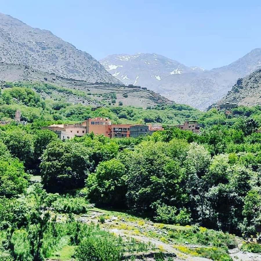 From Marrakech: Atlas Mountains and Berber Village Day Trip - The drive back to Marrakech