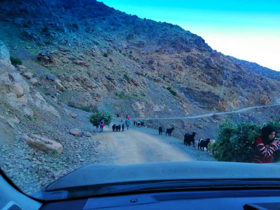 From Marrakech: Atlas Mountains and Three Valleys Day Trip - The guides make the difference