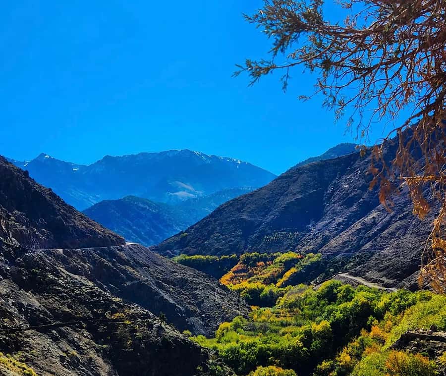 From Marrakech: Atlas Mountains Day Trip with Camel Ride - Ait Souka lunch is more than a quick meal