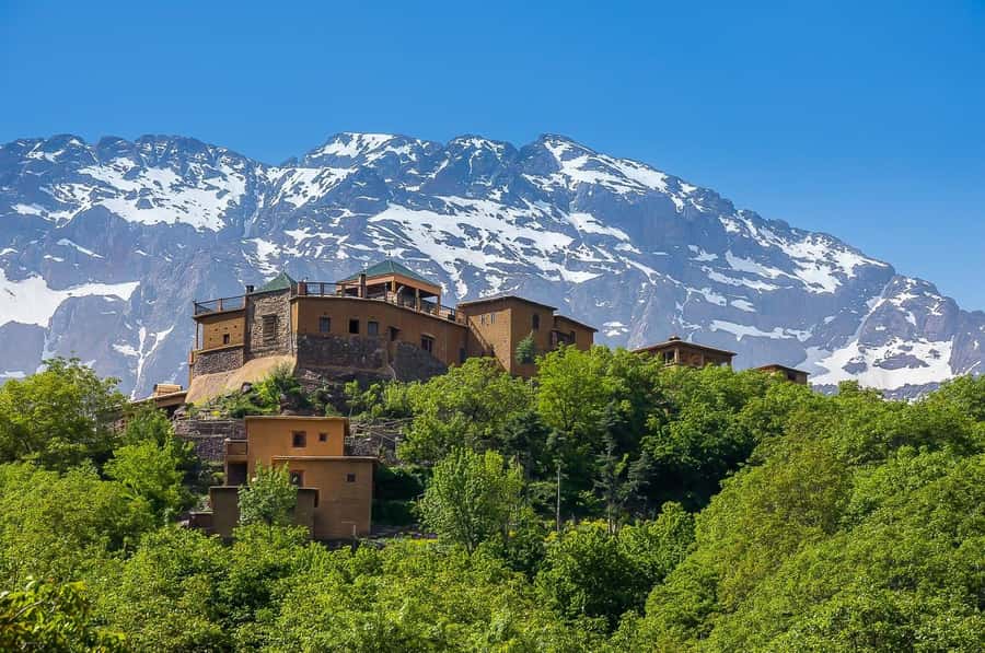 From Marrakech: Atlas Mountains Day Trip with Camel Ride - The argan cooperative: useful stop, possible sales pitch