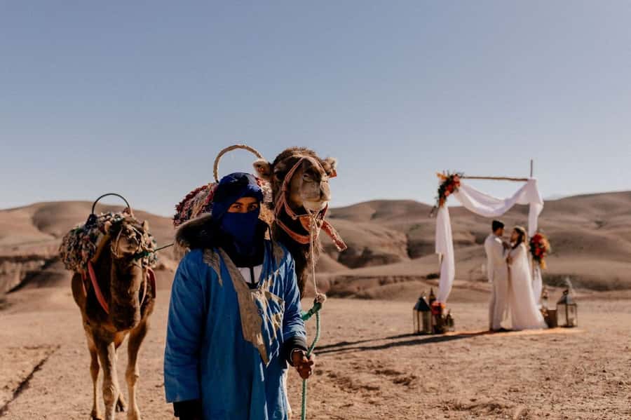 From Marrakech: Atlas Mountains Full-Day Hiking Trip w Lunch - Is $26 good value?