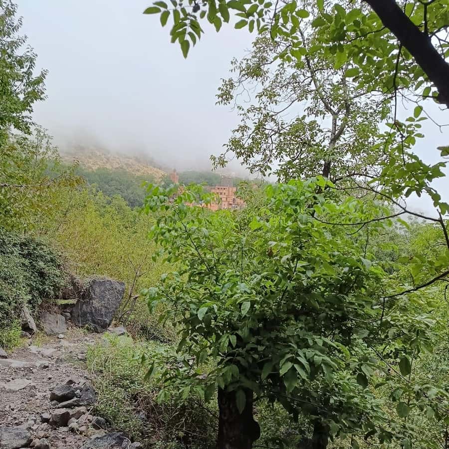 From Marrakech: Atlas Mountains Summit Trek - What the $69 price really covers