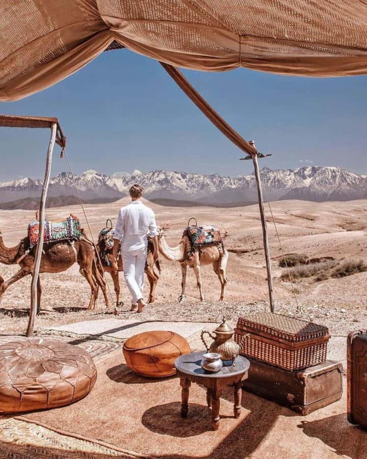 From Marrakech: Camel, Quad Bike Tour, Sunset, Dinner & Show - Agafay instead of the Sahara: know what you are booking