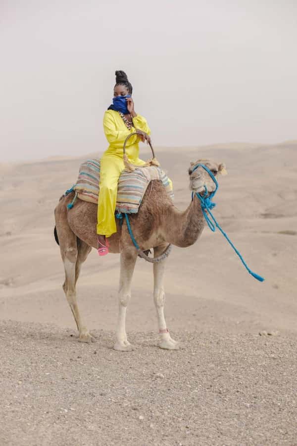 From Marrakech: Camel, Quad Bike Tour, Sunset, Dinner & Show - Pickup from Marrakech and the ride out